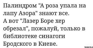 Шедевры-palindrom.jpg