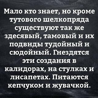 Афоризмы дня-4d73e0ccef7eaf7e3392696958cd8b47.jpg