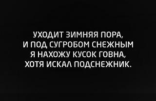 Черный юмор. Или не юмор.-bb82ec1a739c4b80acf3768bb80e0f35.jpg