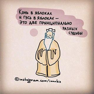 Афоризмы дня-4e0a0f273a3770b5ef71893bab54cb20.jpg