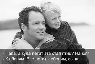 Черный юмор. Или не юмор.-staya-ptic.jpg