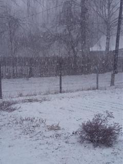 ДАЧА-img_20200314_174403.jpg