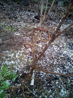 ДАЧА-img_20200314_150651.jpg