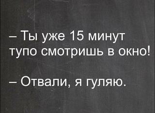 Просто прикольно-gulyayu.jpg