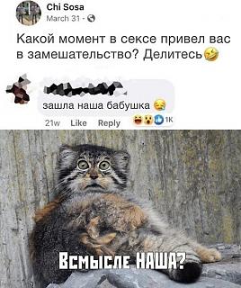 Черный юмор. Или не юмор.-1568236964.jpg