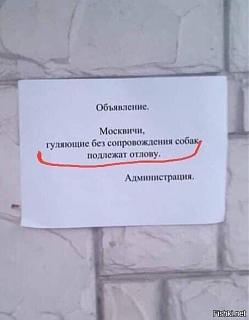 Черный юмор. Или не юмор.-bez-sobak.jpg
