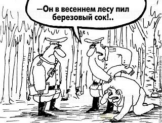 Черный юмор. Или не юмор.-berezovyi-sok.jpg