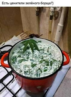 Кулинария. Для тех, кто любит готовить. ))-zelenyi-borsch.jpg