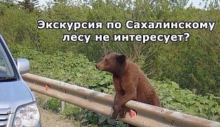 Повышатель настроения-14268744.jpg