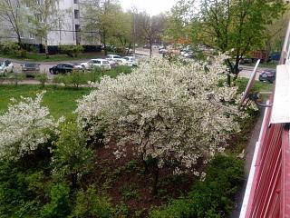 Что хорошего произошло за день?-img_20200509_144456.jpg