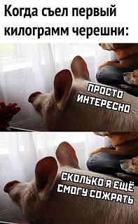Просто прикольно-chereshnya1.jpg