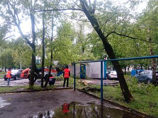Трынделка-img_20200531_143310.jpg