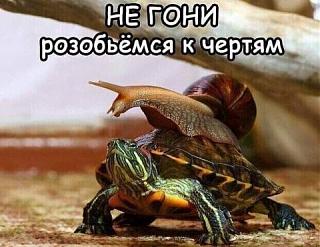 Пикчи на автомобильную тему-view-2-.jpg