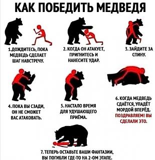 Повышатель настроения-pobedit-medvedya.jpg