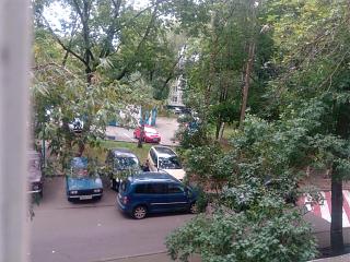Встретил на дороге...-img_20200816_131653.jpg