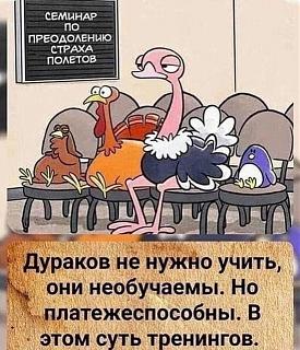 Афоризмы дня-trening.jpg