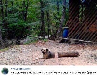 Повышатель настроения-sghdgzpw0t4.jpg