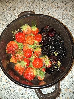 ДАЧА-img_20201008_175708.jpg