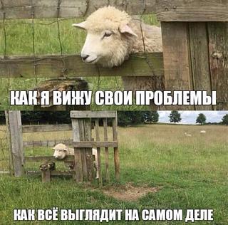 Просто прикольно-problemy.jpg