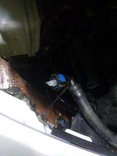 Глупые вопросы про Туран-img_20201024_200439.jpg