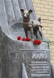 Братья наши меньшие-laika1.jpg