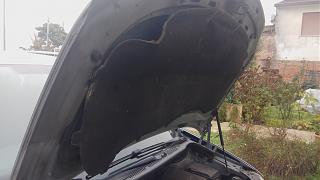 Глупые вопросы про Туран-img_20201128_133403.jpg