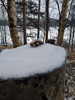ДАЧА-img20201213125120.jpg