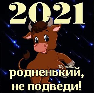 С наступающим Новым годом!-img-8bc52a6b4f80d443167e2cc863889fce
