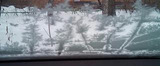 Как зимонькой ездовать правильно?-_20210216_103448_975.jpg