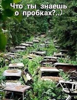 Пикчи на автомобильную тему-chto-ty-znaesh-o-probkah.jpg