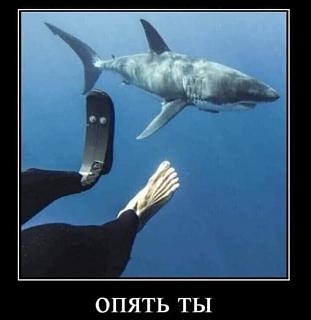 Черный юмор. Или не юмор.-img_20210218_141839.jpg