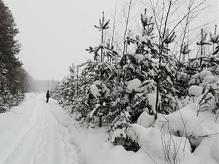 ДАЧА-img_20210221_165319.jpg