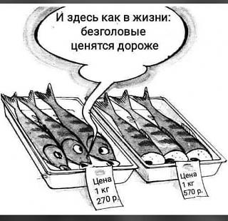 Повышатель настроения-157540735_2655478908077488_6086398888666198007_n.jpg