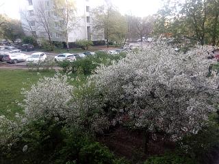 Трынделка-img_20210513_193922.jpg