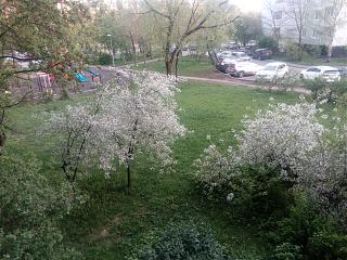 Трынделка-img_20210513_193932.jpg