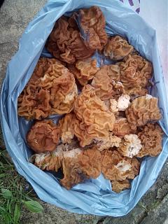 Что хорошего произошло за день?-img_20210501_154110.jpg
