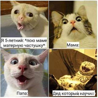 Повышатель настроения-15690988.jpg