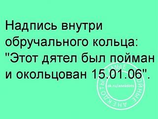 Повышатель настроения-6ea2f531ee180701ad8dda483904bd8e.jpg