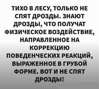 Повышатель настроения-drozdy1.jpg