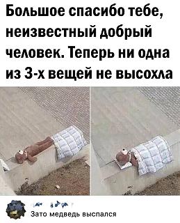 Повышатель настроения-bncpyzg5raw.jpg