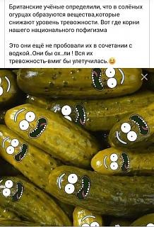 Повышатель настроения-solennye-ogurcy.jpg