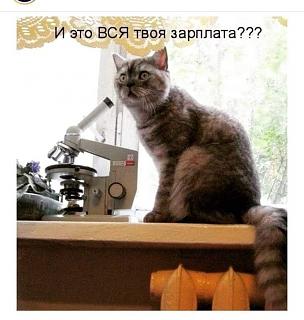 Шедевры-zarplata1.jpg