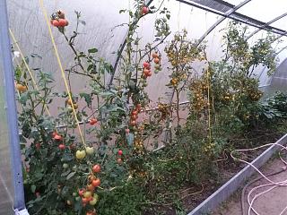 ДАЧА-img_20210901_192222.jpg