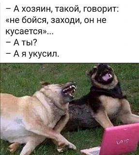 Братья наши меньшие-img-20210918-wa0001.jpg