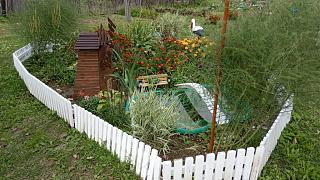 ДАЧА-img_20210909_142516.jpg