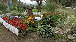 ДАЧА-img_20210909_142527.jpg