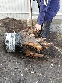 ДАЧА-997.jpg