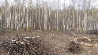 ДАЧА-img_20170504_115929.jpg