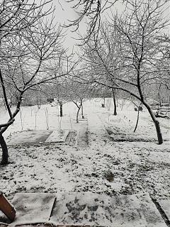 Ну и погодка!-img20220112154944.jpg