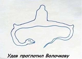 Черный юмор. Или не юмор.-udav.jpg